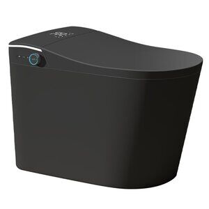 Smart Bidet Toilet